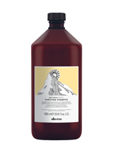 Davines Naturaltech Purifying Shampoo